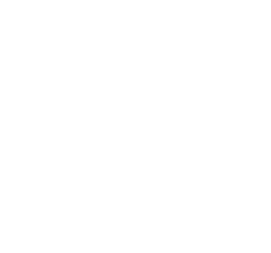 Frank Knight